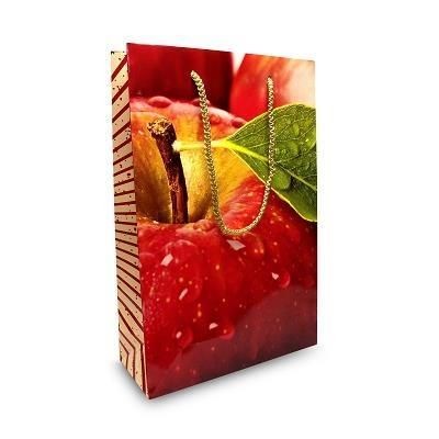 LUXURY LAMINATED PAPER CARRIER GIFT BAG