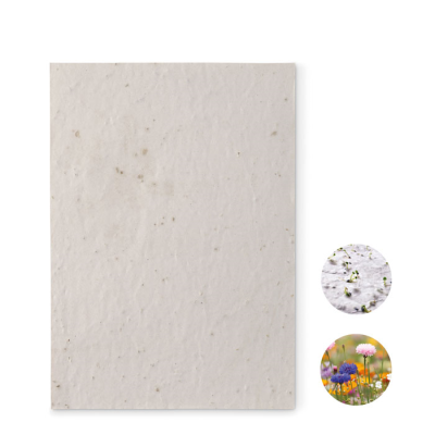 A5 WILDFLOWER SEEDS PAPER SHEET in White
