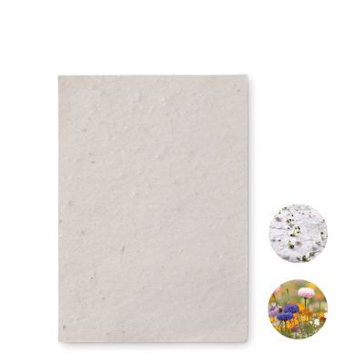 A6 WILDFLOWER SEEDS PAPER SHEET in White