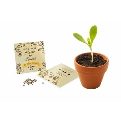 SMALL SEEDS PACKET ENVELOPES - GLOSS