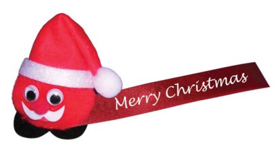 FATHER CHRISTMAS SANTA LOGO BUG