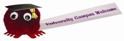 TEACHER LOGO BUG with Printed Ribbon