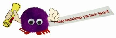 UNIVERSITY & COLLEGE DIPLOMA HANDHOLDER LOGO BUG with Full Colour Printed Ribbon