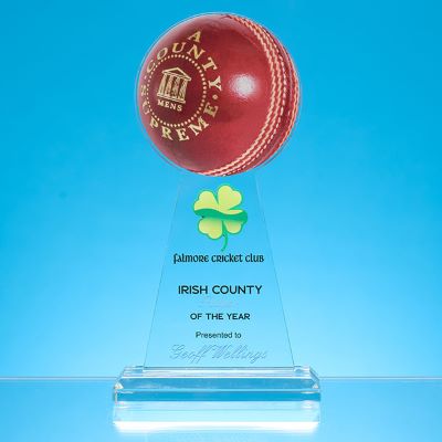 18CM x 10CM DIA BALL AWARD - PRINTED with Ball Only