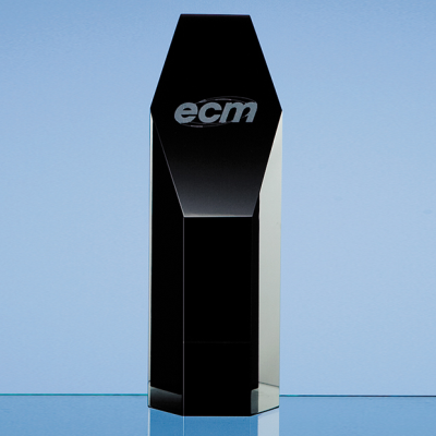 19CM ONYX BLACK OPTICAL CRYSTAL HEXAGON AWARD