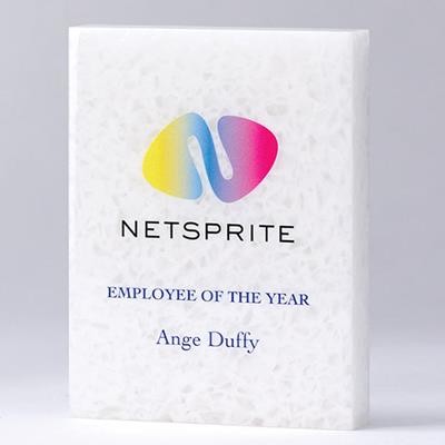 20CM x 17,5CM x 3CM 100% RECYCLED ACRYLIC RECTANGULAR AWARD