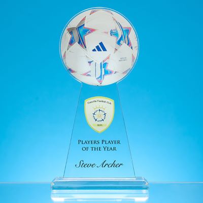 23CM x 12,5CM DIA BALL AWARD - PRINTED with Ball Only