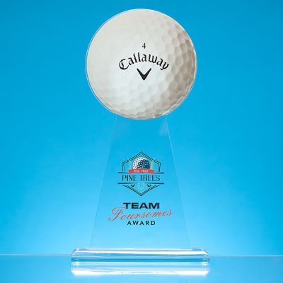 28CM x 15CM DIA BALL AWARD - PRINTED with Ball Only