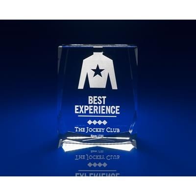 CRYSTAL GLASS CHAMONIX PAPERWEIGHT