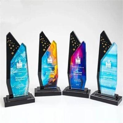 ENTERPRISE CURVE AWARD - MEDIUM