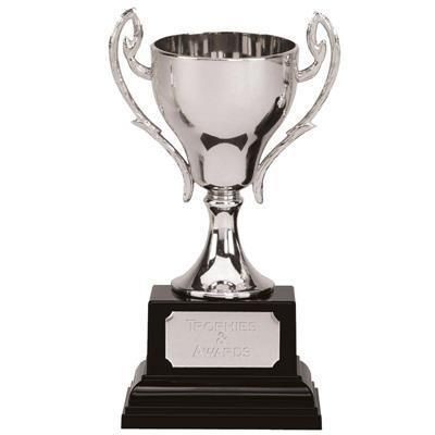 SILVER CAST METAL AWARD TROPHY CUP