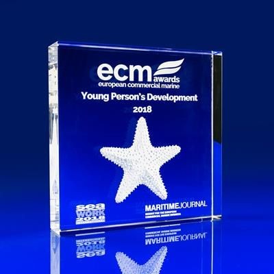 SQUARE PAPERWEIGHT in Crystal