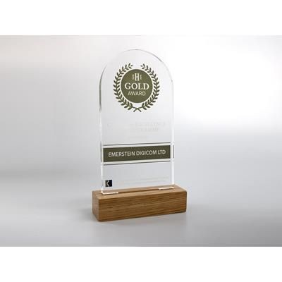 STANDARD SHAPE ACRYLIC AWARD with Engraved Wood Base