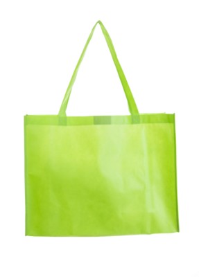 JUMBO EXHIBITION BAG in Pale Green