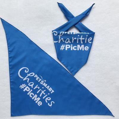 COTTON PET TRIANGULAR BANDANA