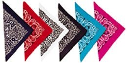 LARGE BANDANA with Assorted Paisley Design
