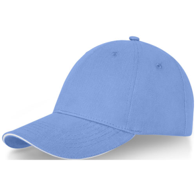 DARTON 6 PANEL SANDWICH CAP