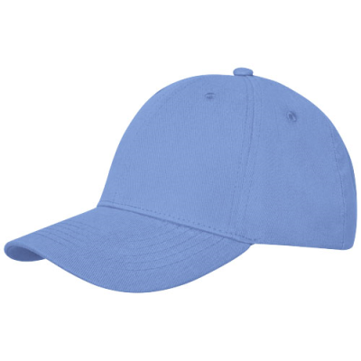 DAVIS 6 PANEL CAP