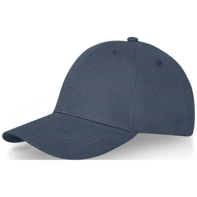 DAVIS 6 PANEL CAP
