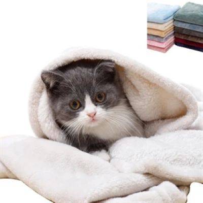 FLEECE PET PICNIC BLANKET