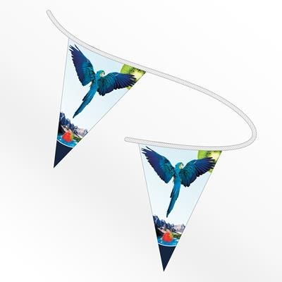 TRIANGULAR PAPER BUNTING