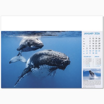 BLUE PLANET WALL CALENDAR