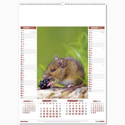 BRITISH WILDLIFE 6 LEAF WALL CALENDAR