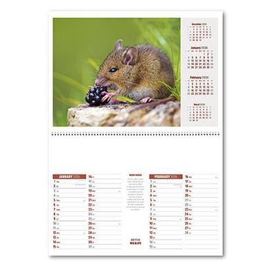 BRITISH WILDLIFE CENTRAL SPIRAL WALL CALENDAR
