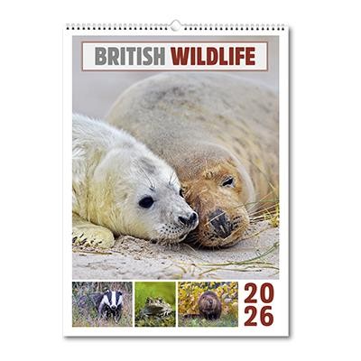 BRITISH WILDLIFE MEMO WALL CALENDAR