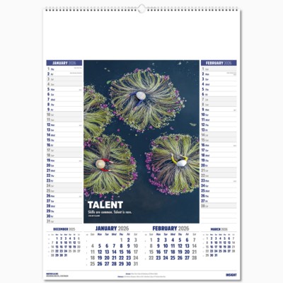 INSIGHT PICTORIAL MEMO WALL CALENDAR