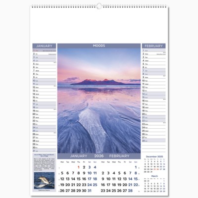 MOODS WALL CALENDAR