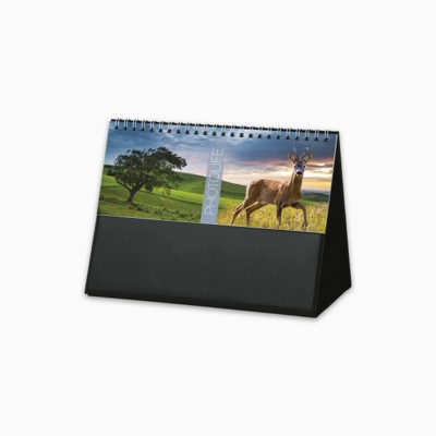 PHOTO LIFE DESK CALENDAR