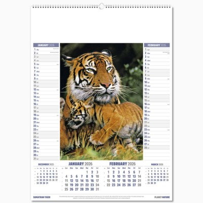 PLANET NATURE MEMO WALL CALENDAR