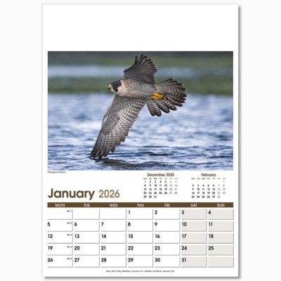 RURAL LIFE OPTIMA WALL 13 LEAF CALENDAR