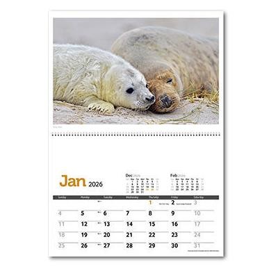 WILDLIFE IN BRITAIN CENTRAL SPIRAL WALL CALENDAR