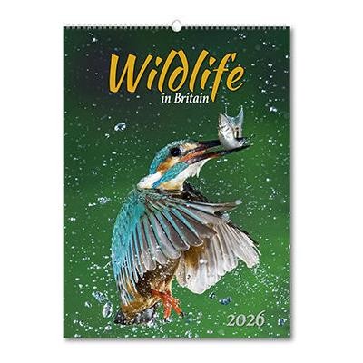 WILDLIFE IN BRITAIN WALL CALENDAR