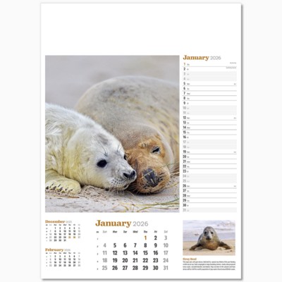 WILDLIFE IN BRITAIN WALL CALENDAR