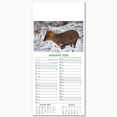 WILDLIFE SLIM LINE WALL CALENDAR