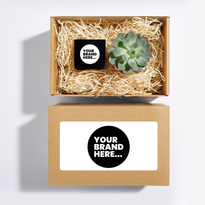 CANDLE AND PLANT HAMPER in a Full Colour Label Box
