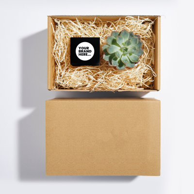 CANDLE AND PLANT HAMPER in a Plain Box