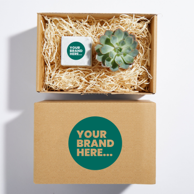 CANDLE AND PLANT HAMPER in a Printed Box