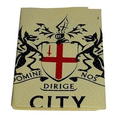 CHAMOIS CLEANING CLOTH