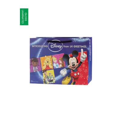 DISCOVERY HAND FINISHED PAPER LAMINATED CARRIER BAG