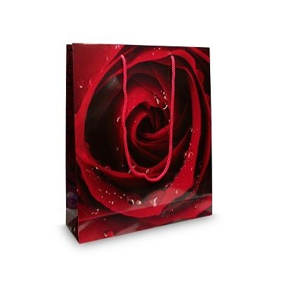 LUXURY LAMINATED PAPER EXHIBITION BAG