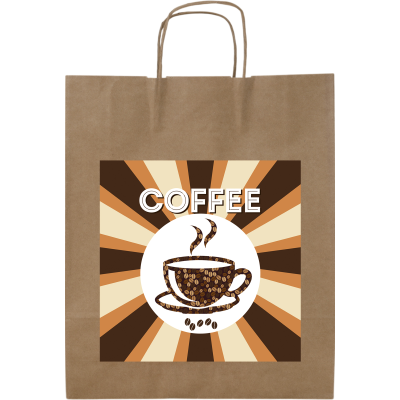 PAPER BAG (320 x 420 x 110MM) in Brown