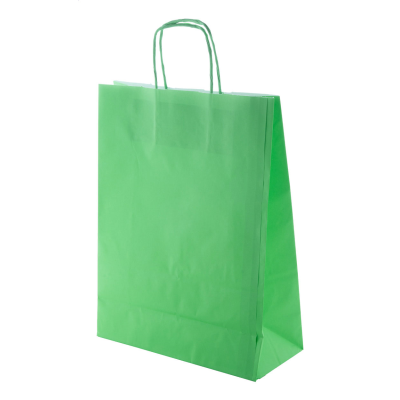 PAPER BAG in Green