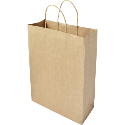PAPER BAG (LARGE) in Brown