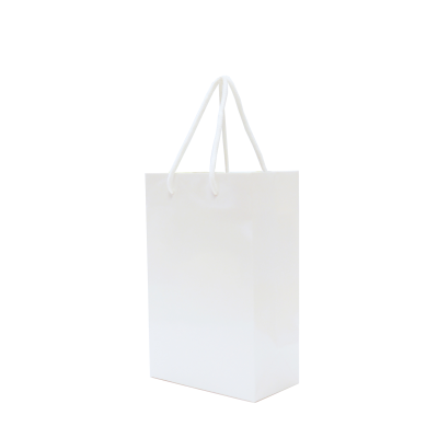 WALTON A5 MATT LAMINATED PAPER CARRIER BAG