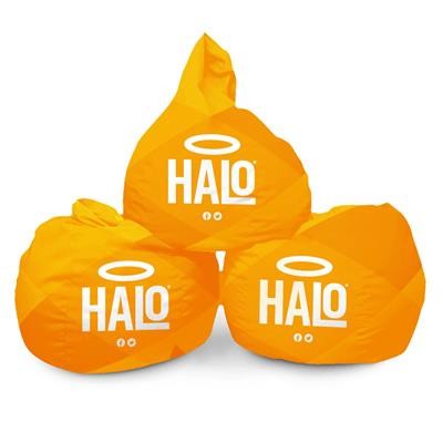 BRANDED BEANBAGS - 700MM X 1100MM