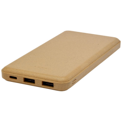 ECO 10,000 MAH POWER BANK